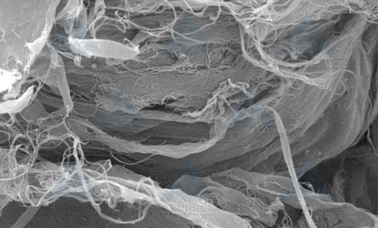 CNTs de parede única